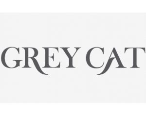 Grey Cat